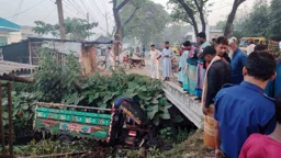 গরুভর্তি পাওয়ার ট্রলি খাদে পড়ে ব্যবসায়ী নিহত