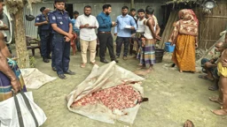 অসুস্থ গরু জবাই, মাংস পুঁতে কসাইকে জরিমানা