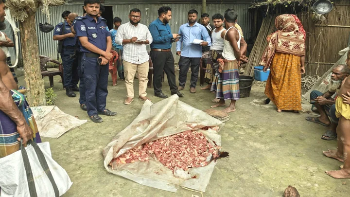অসুস্থ গরু জবাই, মাংস পুঁতে কসাইকে জরিমানা