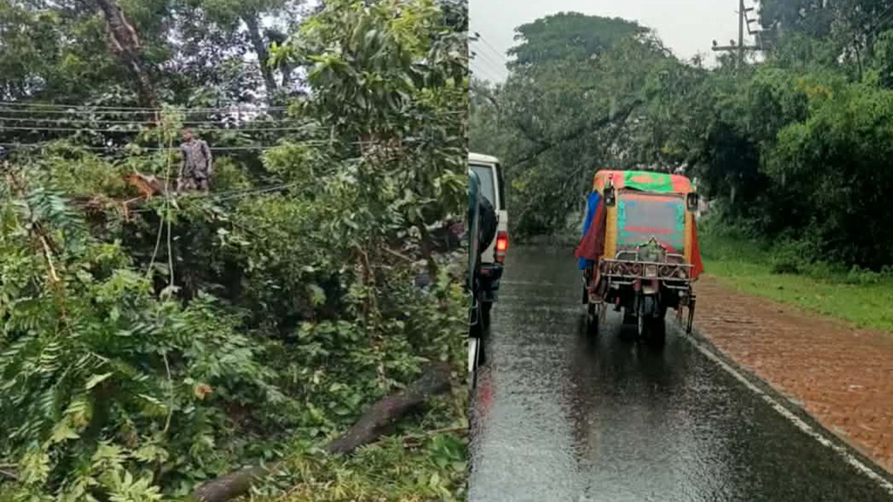 গাছ উপড়ে ক্ষতিগ্রস্ত বিদ্যুতের পোলবক্স, উখিয়া ও টেকনাফে বন্ধ সরবরাহ