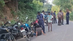 সড়কে অস্ত্র হাতে মুখোশধারীরা, এক দিনে দুই দফা লুটপাট
