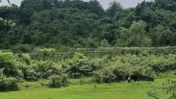 সীমান্তে মাইন বিস্ফোরণে রোহিঙ্গা যুবকের পা ক্ষতবিক্ষত