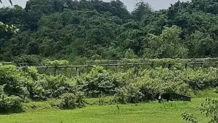 সীমান্তে মাইন বিস্ফোরণে রোহিঙ্গা যুবকের পা ক্ষতবিক্ষত