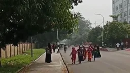 কুমিল্লা ইপিজেডে ‘জিন-পেত্নী’ আতঙ্কে নারী শ্রমিকদের ছোটাছুটি
