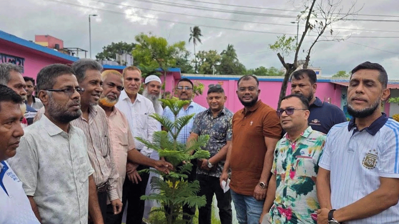 জলবায়ু পরিবর্তনের প্রভাব মোকাবিলায় বৃক্ষরোপণের বিকল্প নেই