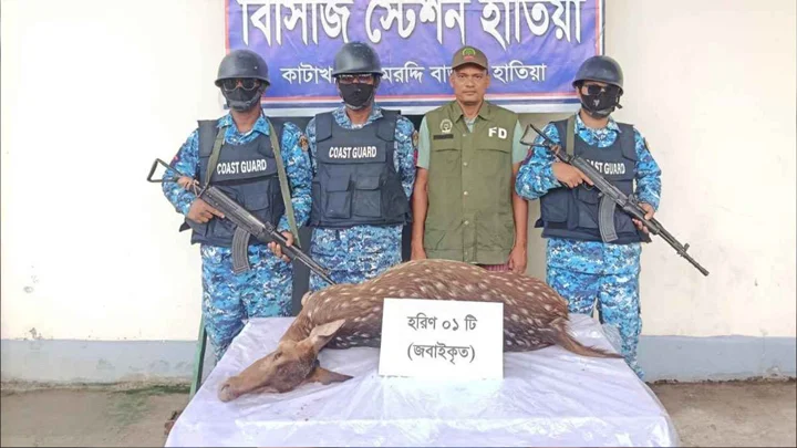 হাতিয়ায় জবাই করা হরিণ রেখে পালালেন শিকারিরা