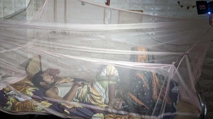 পাবনায় ডেঙ্গু রোগীর বড় অংশই ঢাকাফেরত