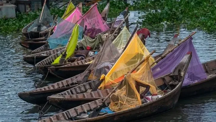 ঢাকার বাইরে ডেঙ্গুর নতুন হটস্পট ৫ জেলা