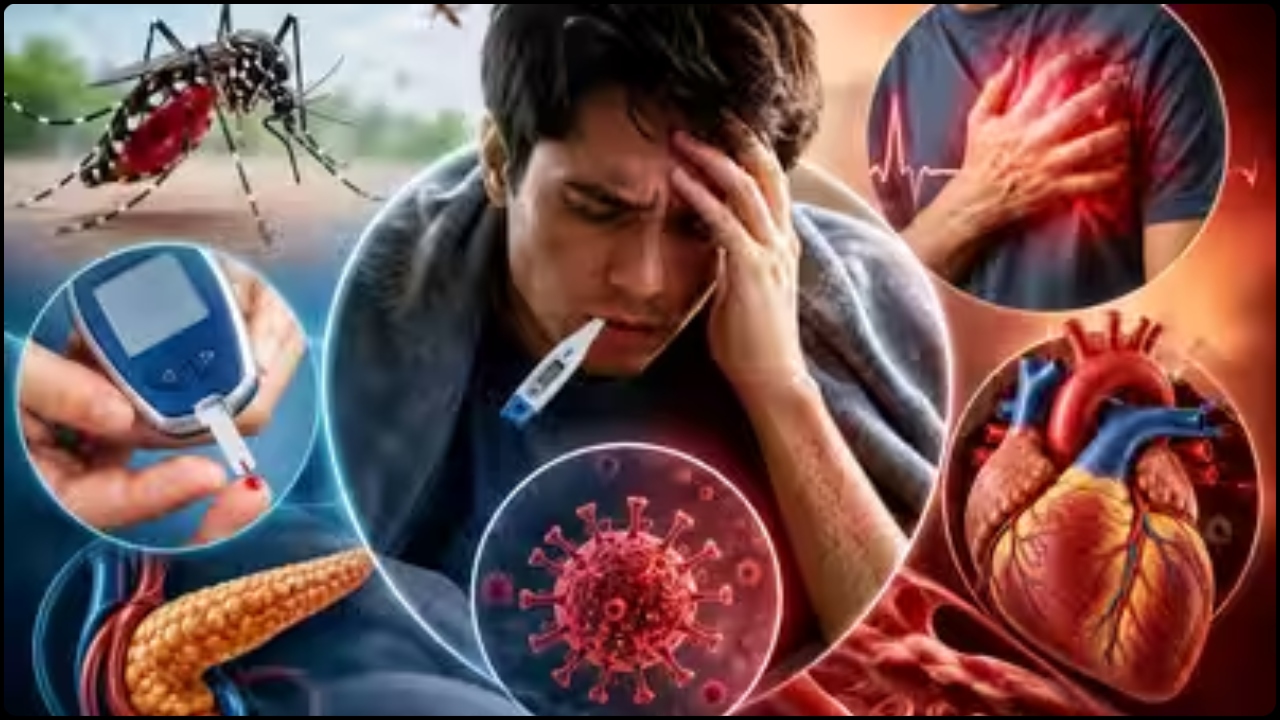 ডায়াবেটিস বা হৃদ্‌রোগ থাকলে ডেঙ্গু কেন বেশি ঝুঁকিপূর্ণ