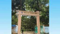 অটোরিকশা ছিনিয়ে নিতে চালককে গলা কেটে হত্যা