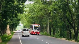 গোপালগঞ্জের সড়ক যেন মৃত্যুফাঁদ, ৭ মাসে ঝরল ৩৮ প্রাণ