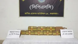 সীমান্তবর্তী এলাকায় বাড়ির উঠানে মাটিতে লুকানো ছিল এক লাখ ইয়াবা