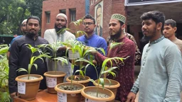 জুলাই শহীদদের স্মরণে ঢাবির হলে ১৩০ হ্যারিকা পাম গাছ বিতরণ