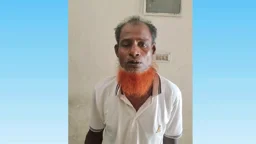শিশু ধর্ষণচেষ্টার অভিযোগে বৃদ্ধ গ্রেপ্তার