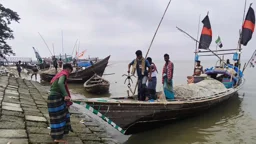 ভরা মৌসুমেও মেঘনায় ইলিশের আকাল