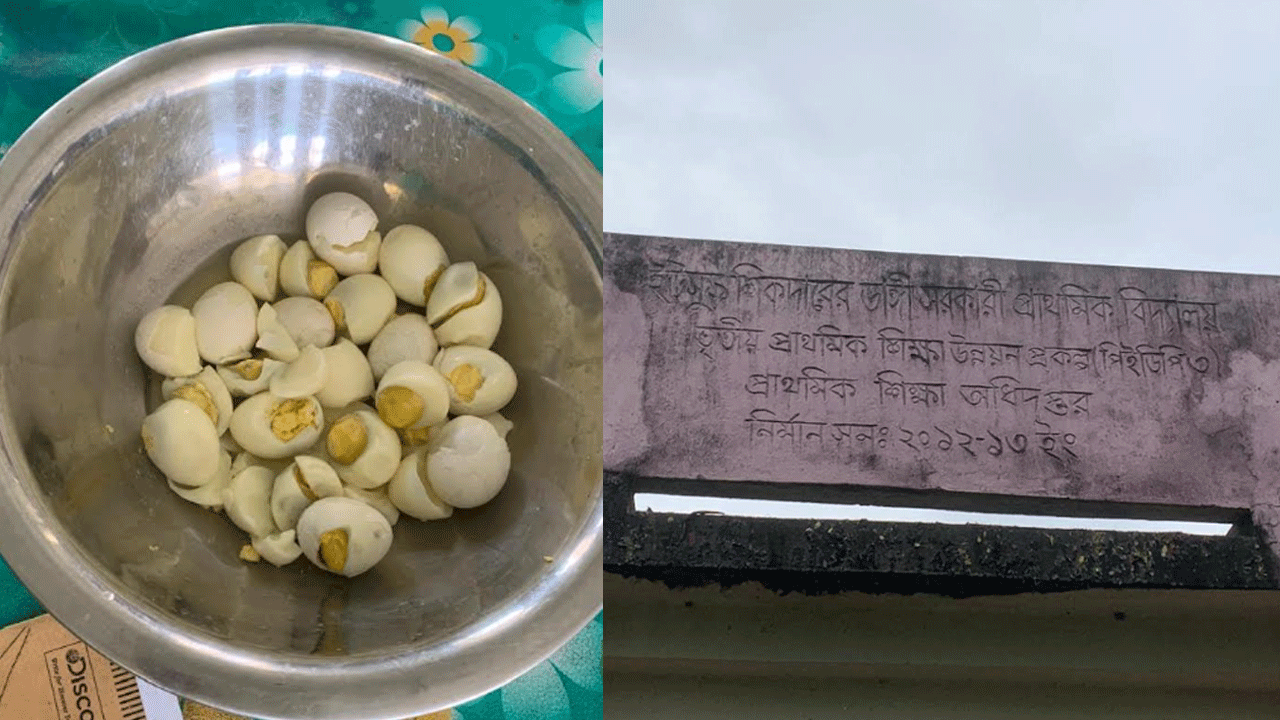 eggg-faridpur