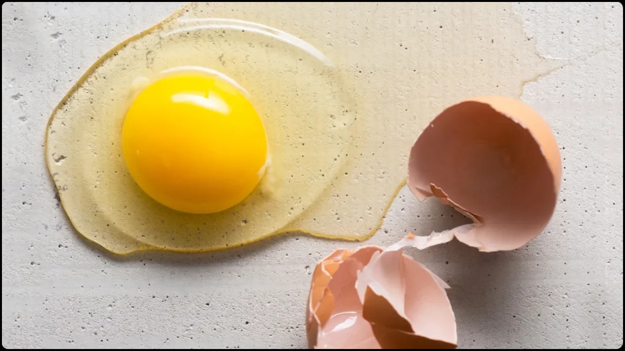 eggs (1)