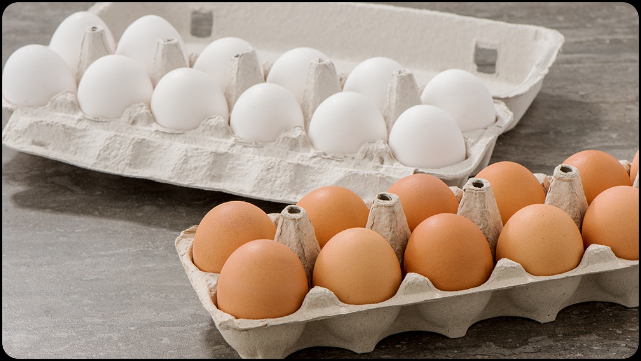 eggs (1)