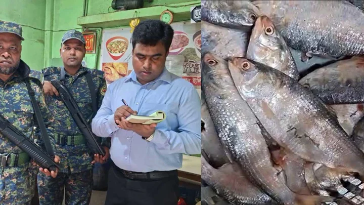 চাঁদপুরে পচা ইলিশ বিক্রি, দুই ব্যবসায়ীকে জরিমানা