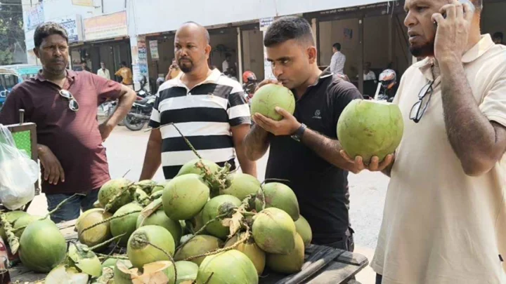 ৬০ টাকার ডাব শহরে বিক্রি হচ্ছে ২০০ টাকায়
