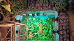 পাটখড়ি আর কৃত্রিম পাতায় রূপসী অরণ্য, প্রকৃতির আবহে সেজেছে  দুর্গামণ্ডপ