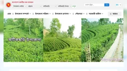 নাগরিকের তথ্য জানার ওয়েবসাইটে তথ্যের হদিস নেই