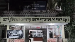 মেয়ের বিয়ের প্রস্তুতি চলাকালে বিদ্যুৎস্পৃষ্ট হয়ে মায়ের মৃত্যু