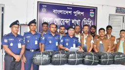 নওগাঁয় গাঁজাসহ মাদক কারবারি গ্রেপ্তার