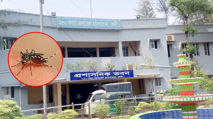 ফেনীতে ৯ মাসেই ডেঙ্গু আক্রান্ত ৫০০ পার