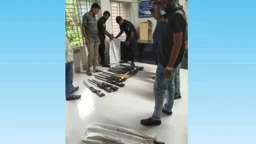 সুন্দরবনে তিন বস্তায় মিলল ৩৩ আগ্নেয়াস্ত্র