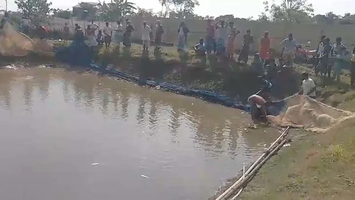 ঋণ করে মাছ চাষ, বিষ প্রয়োগে নিঃস্ব হওয়ার পথে চার বন্ধু