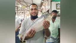 হাতিয়ায় সাড়ে ৩ কেজি ওজনের ইলিশ ১১ হাজার টাকায় বিক্রি