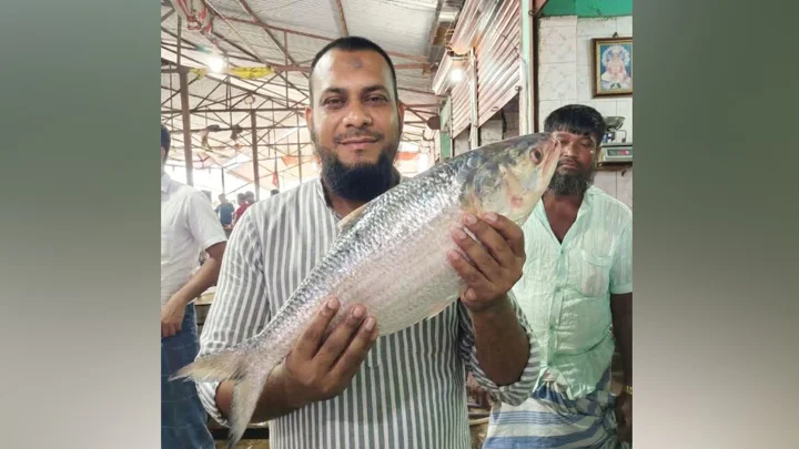 হাতিয়ায় সাড়ে ৩ কেজি ওজনের ইলিশ ১১ হাজার টাকায় বিক্রি