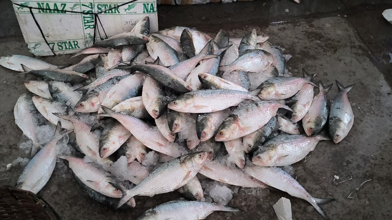 ছবি: এশিয়া পোস্ট