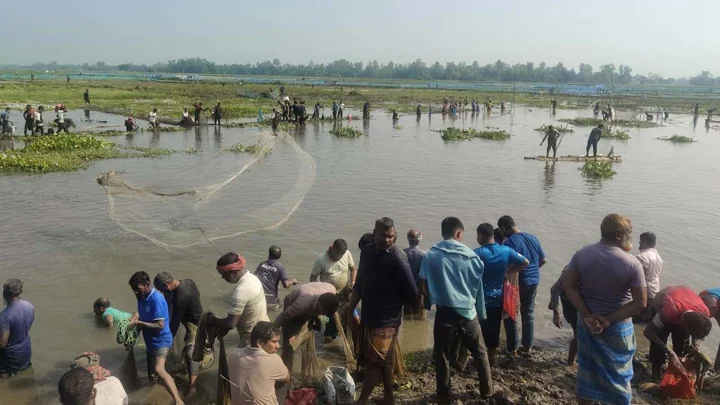 বুড়িরবাঁধে মাছ ধরার ধুম, বড় মাছের দেখা নেই