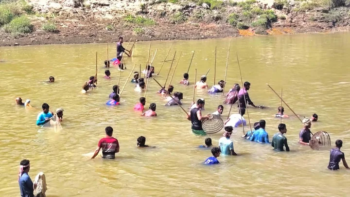 ধলাই নদীতে ঐতিহ্যবাহী ‘পলো বাওয়া’ উৎসব