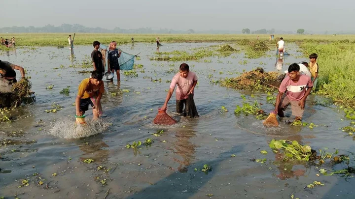 দেশীয় মাছ কমছে দাদুড়িয়া বিলে, হারানোর শঙ্কায় পলো বাওয়া উৎসব