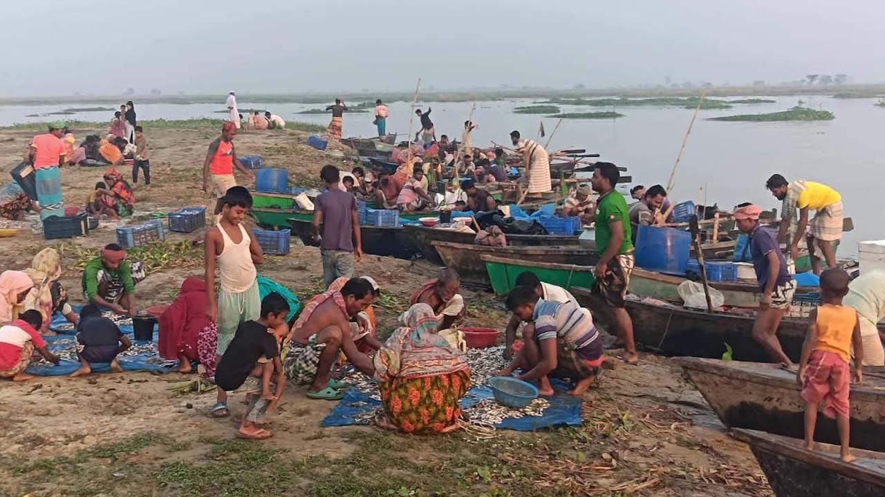 দেশীয় মাছে জমজমাট নিতপুর ঘাট, দাম কেমন