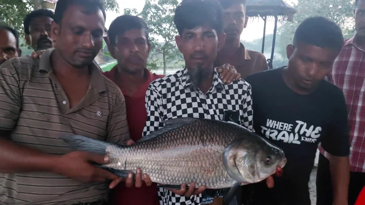 এক কাতলা ধরে পুরস্কার পেলেন ২ লাখ টাকা