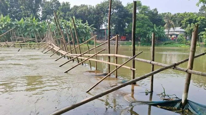 সরকারি খালে বাঁশের বেড়া দিয়ে মাছ শিকার