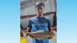 মেঘনায় জেলের জালে মৌসুমের সবচেয়ে বড় ইলিশ