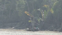 তিন মাসের নীরবতা শেষে পর্যটকদের অপেক্ষায় সুন্দরবন