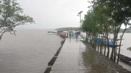 তিন মাস পর খুলল সুন্দরবনের দুয়ার