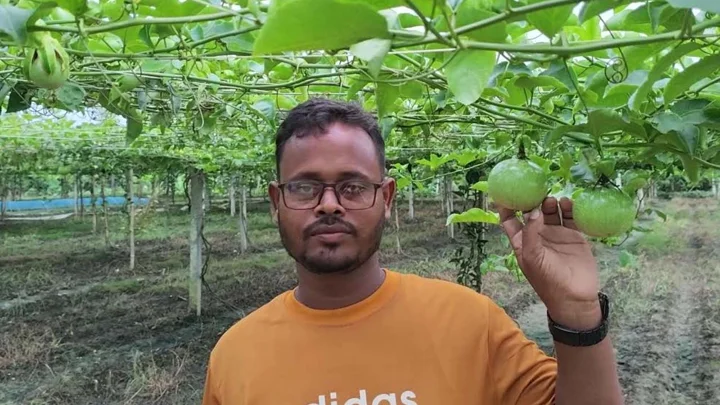 ইউটিউব দেখে আনারকলি চাষ, যেভাবে বদলে গেল মিঠুর ভাগ্য