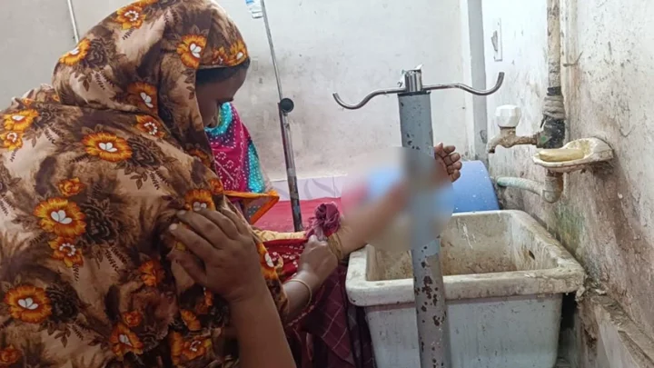 দিনাজপুরে শিয়ালের কামড়ে নারী-শিশুসহ ৯ জন আহত