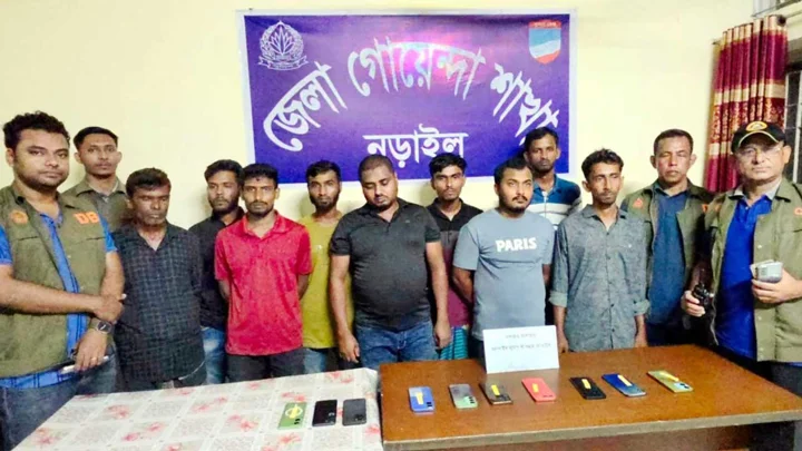 নড়াইলে অনলাইনে ইলিশ বিক্রির নামে প্রতারণা, গ্রেপ্তার ৯