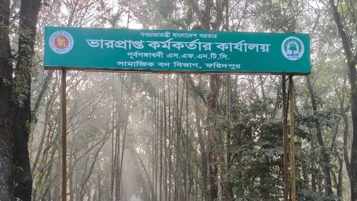নিজের জমিতে গাছ কাটতেও লাগবে বন বিভাগের অনুমতি