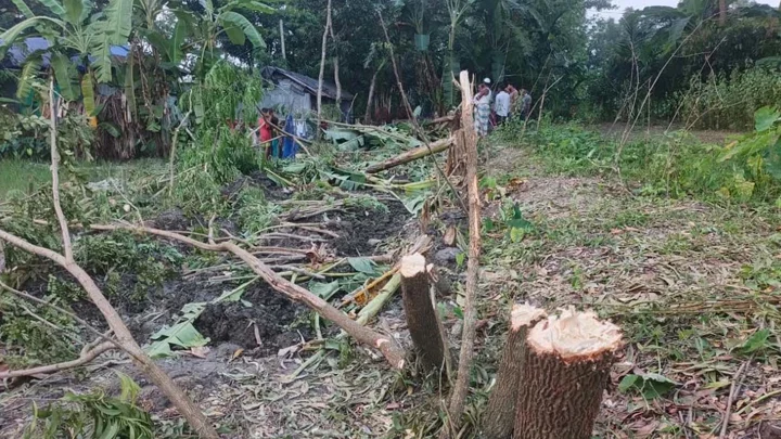 সুবর্ণচরে অর্ধশতাধিক গাছ কেটে জায়গা দখলের চেষ্টা