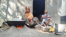 শেষ বয়সে দুমুঠো খাবারের আকুতি নিঃসন্তান দম্পতির