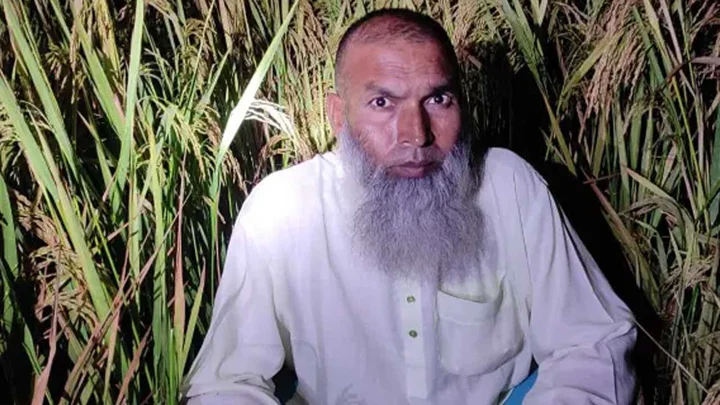 ধানক্ষেতে লুকিয়েও শেষ রক্ষা হলো না আওয়ামী লীগ নেতার